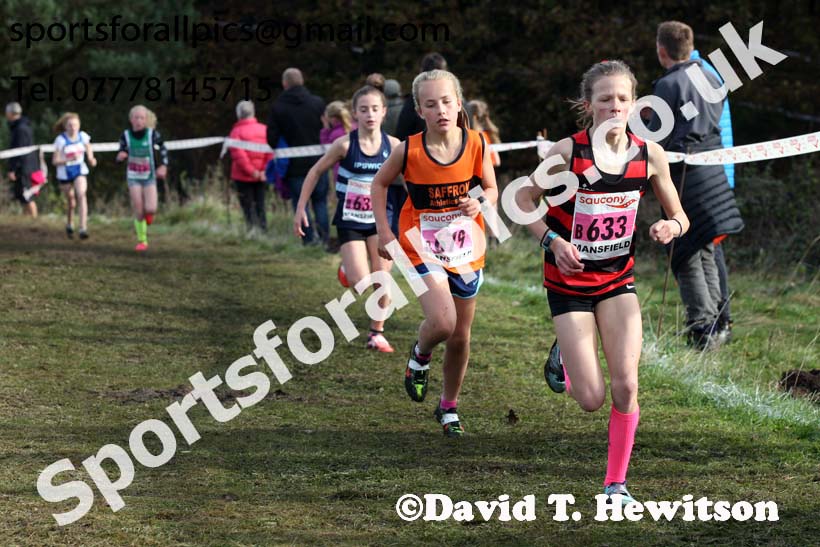 Girls under-13s National Cross Country Relay, Berry Hill Park, Mansfield. Photo:  David T. Hewitson/Sports for All Pics